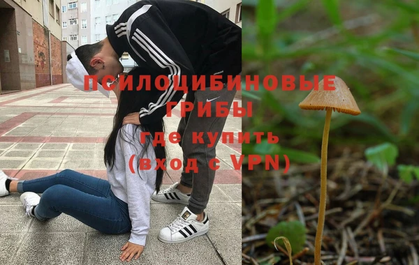 а пвп мука Гусь-Хрустальный