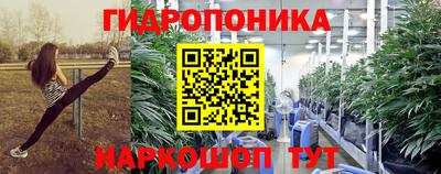 крисы Апшеронск