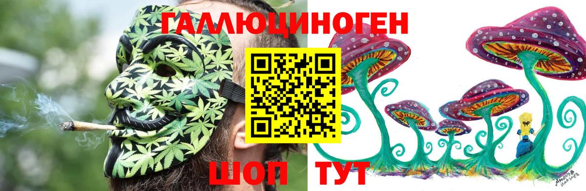Галлюциногенные грибы Psilocybine cubensis Вятские Поляны